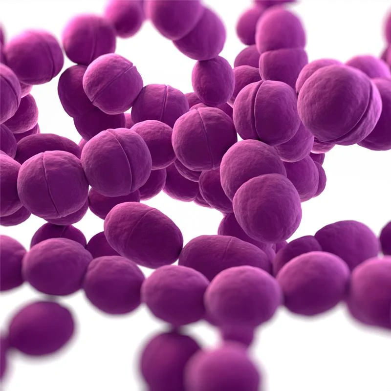 Streptococcus Mutans - The Bacteria Behind Tooth Decay and Cavities